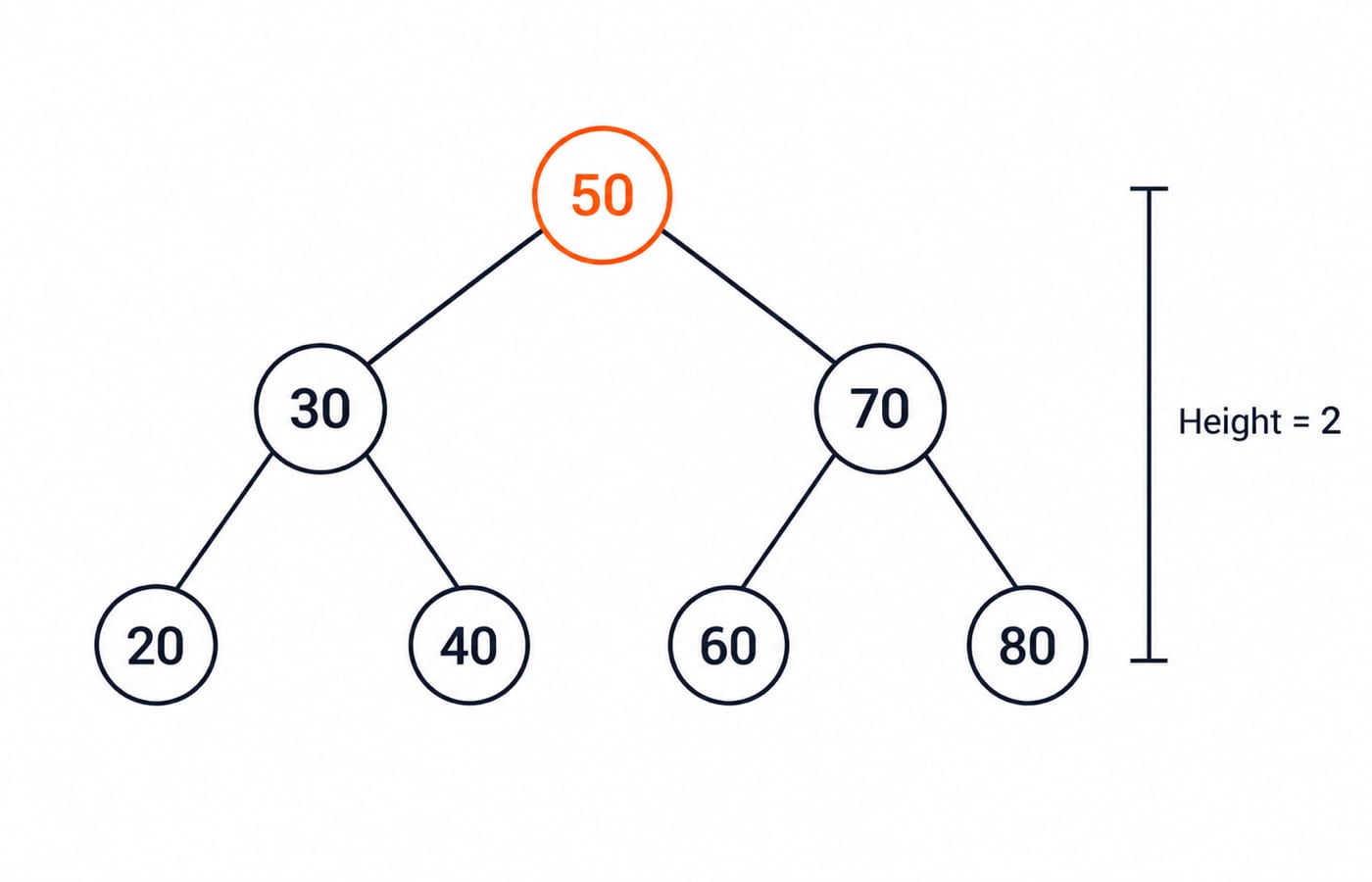 Binary search tree with root 50, children 30 and 70, and leaves 20, 40, 60 and 80, giving a tree of height 2.