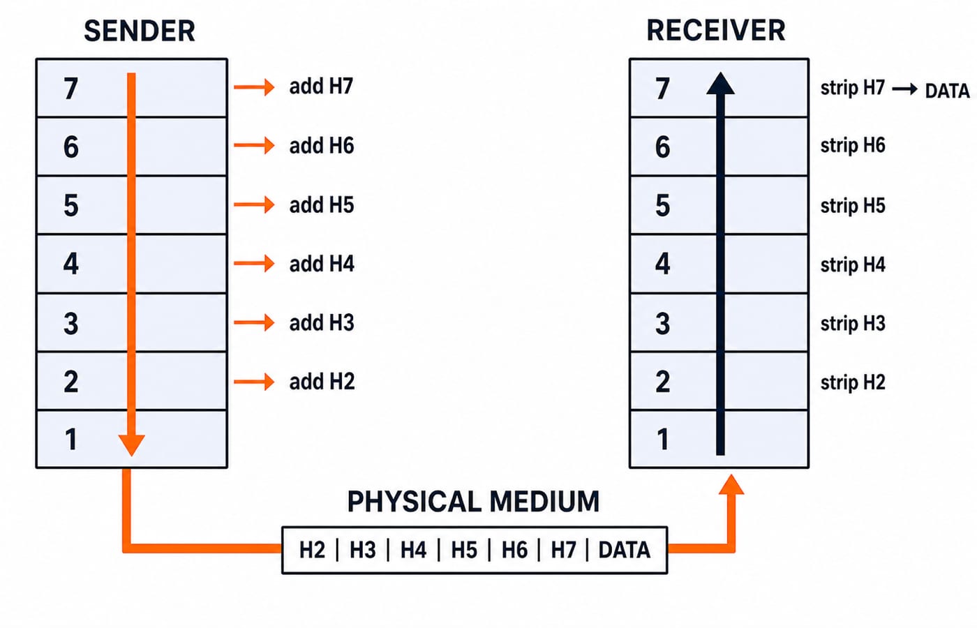 Data moves down the sender's seven layers, gaining a header at each, then up the receiver's layers as each header is stripped off.