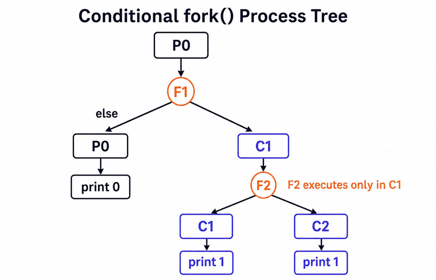 Conditional fork() process tree: P0 takes the else branch and prints 0, while its child C1 forks again so C1 and C2 each print 1.