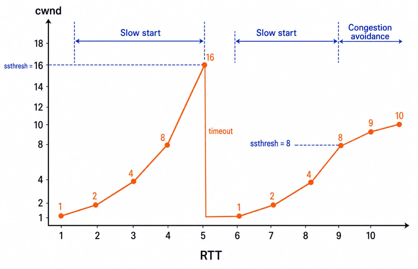 Sawtooth graph of cwnd against RTT: growth to 16 MSS, a timeout drop to 1 MSS, then recovery to 10 MSS as ssthresh falls from 16 to 8.