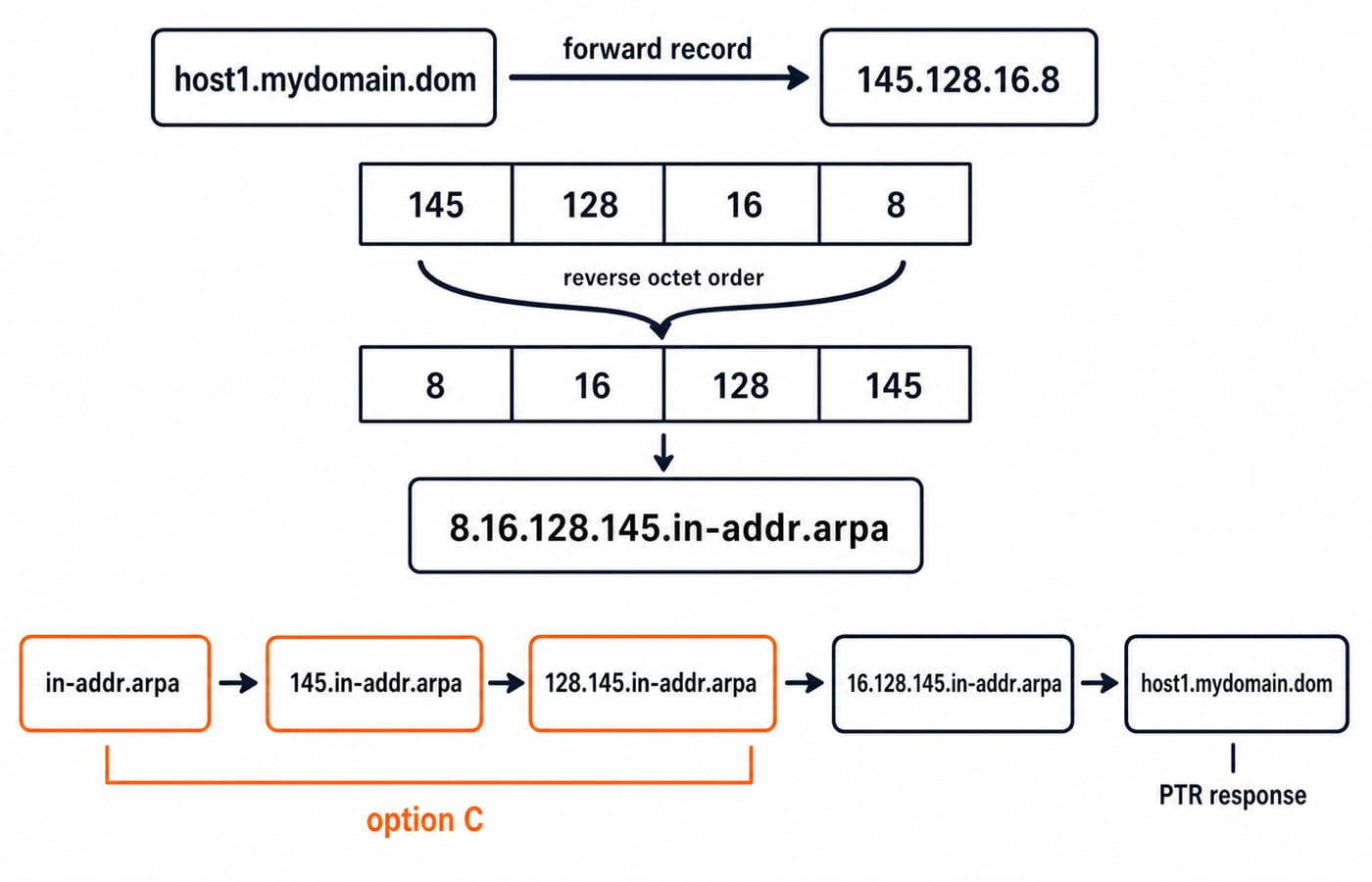 Reverse lookup of 145.128.16.8: the octets reverse into the PTR name 8.16.128.145.in-addr.arpa, with its delegation path below.