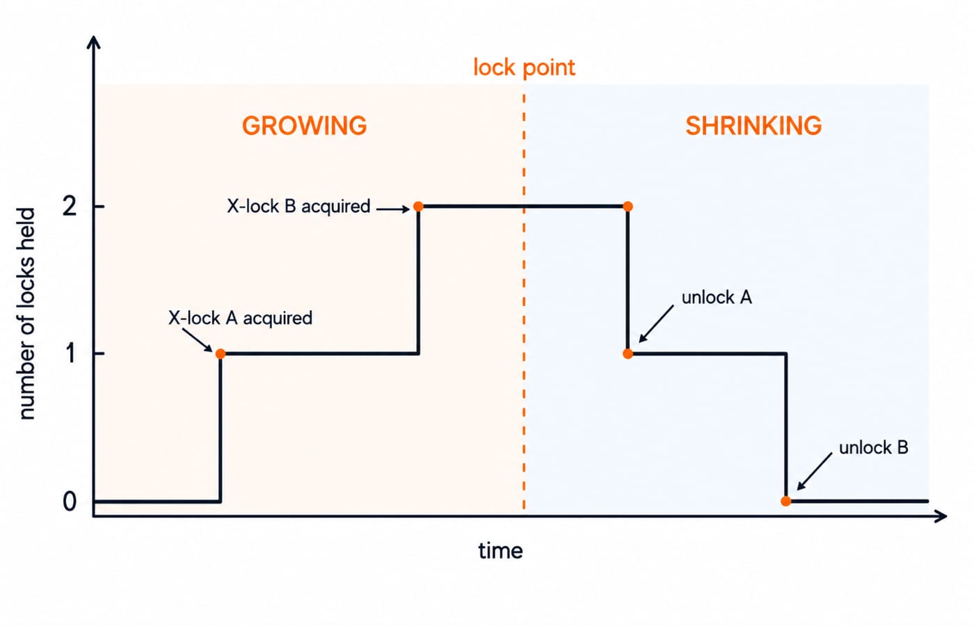 Lock count versus time for a 2PL transaction, rising through the growing phase to the lock point then falling in the shrinking phase.