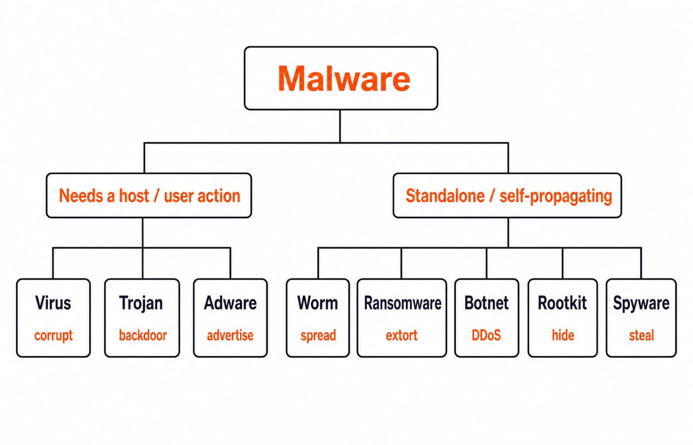 Taxonomy diagram grouping virus, trojan and adware under host or user action, with five other malware types under standalone propagation.