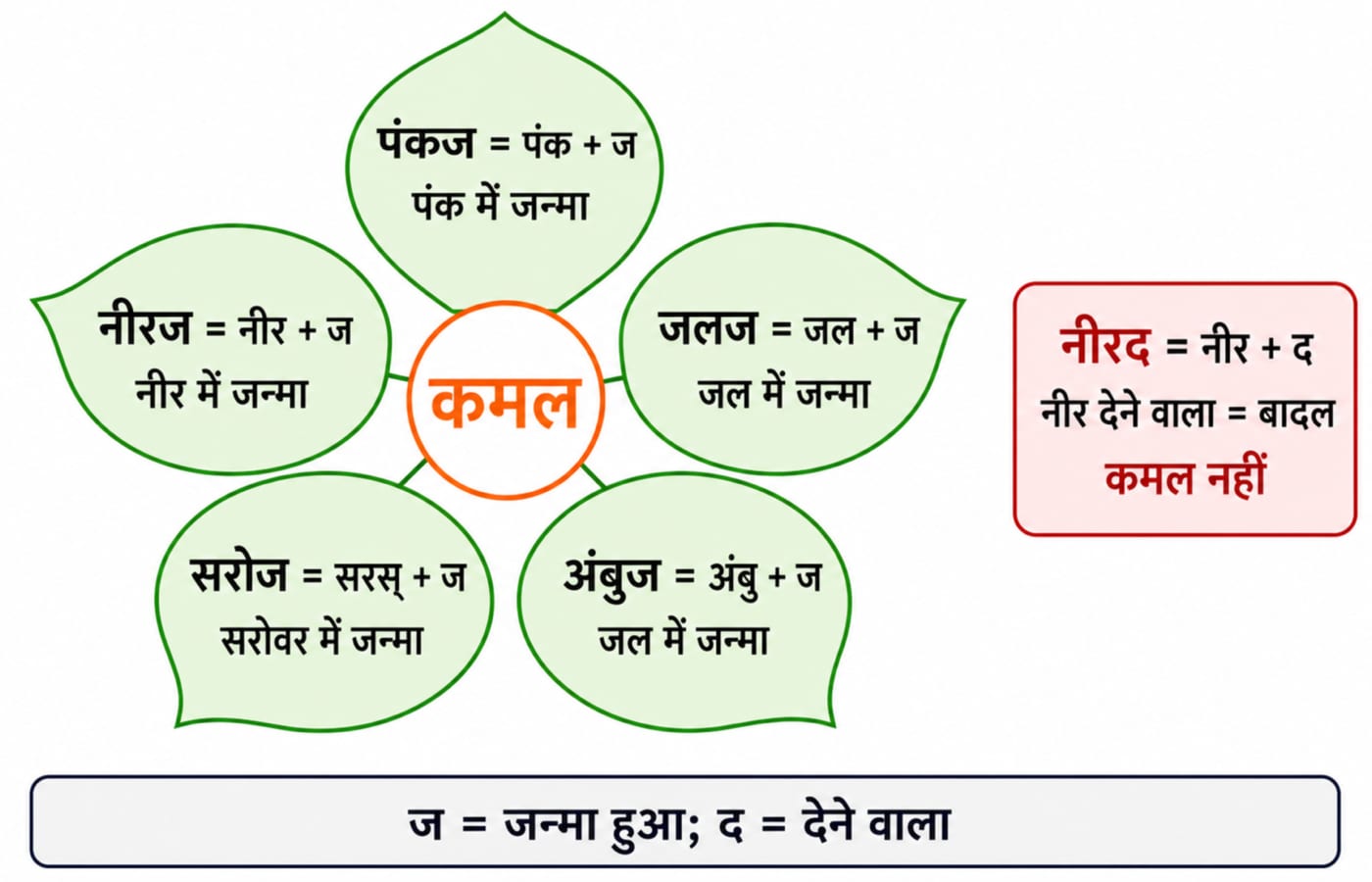 कमल के पर्यायवाची पंकज, नीरज, जलज, सरोज और अंबुज को शब्द-भागों से समझाता चित्र, जबकि नीरद (बादल) को trap के रूप में अलग दिखाया गया है।