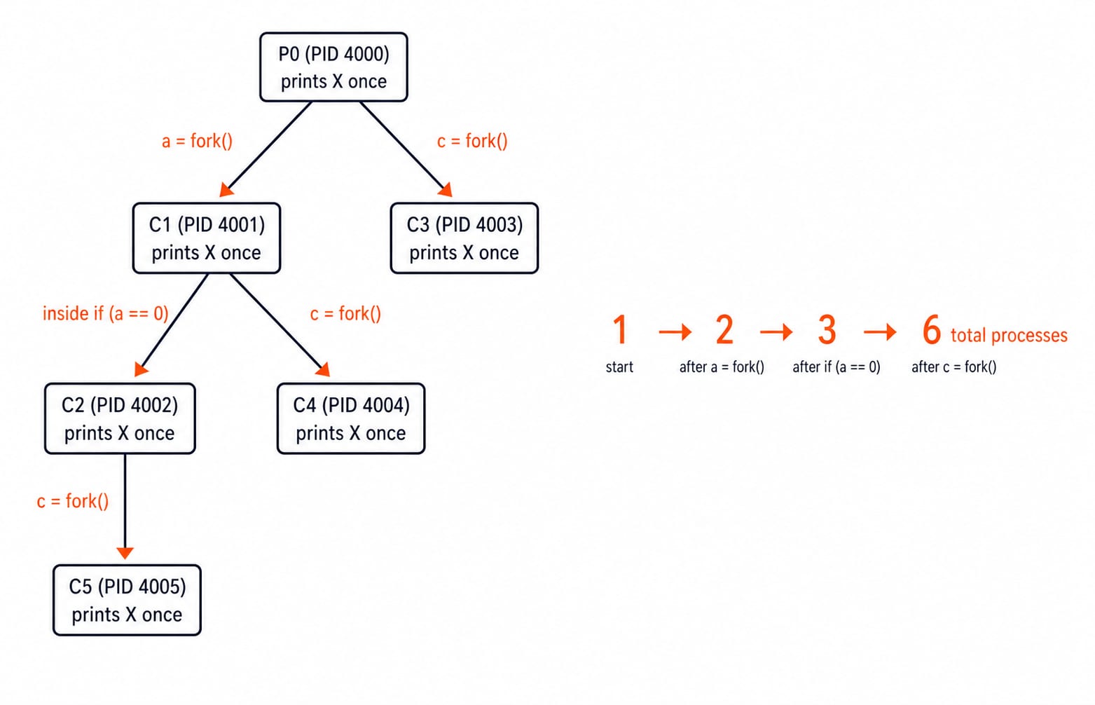 Process tree for the worked example growing from 1 to 2 to 3 to 6 processes, with P0 at PID 4000 and children C1 to C5.