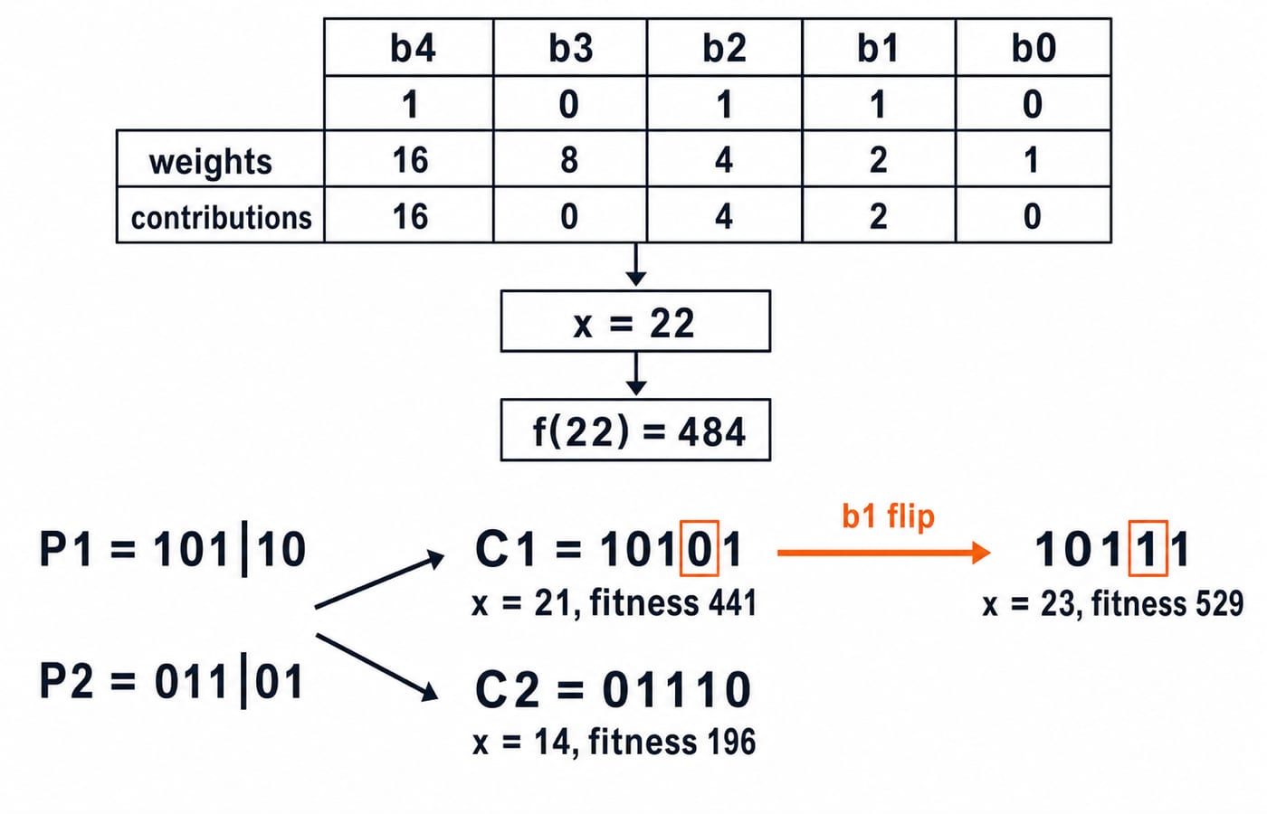 Decoding chromosome 10110 to x=22 and fitness 484, then crossover and a bit flip producing children 10101, 01110 and mutant 10111.