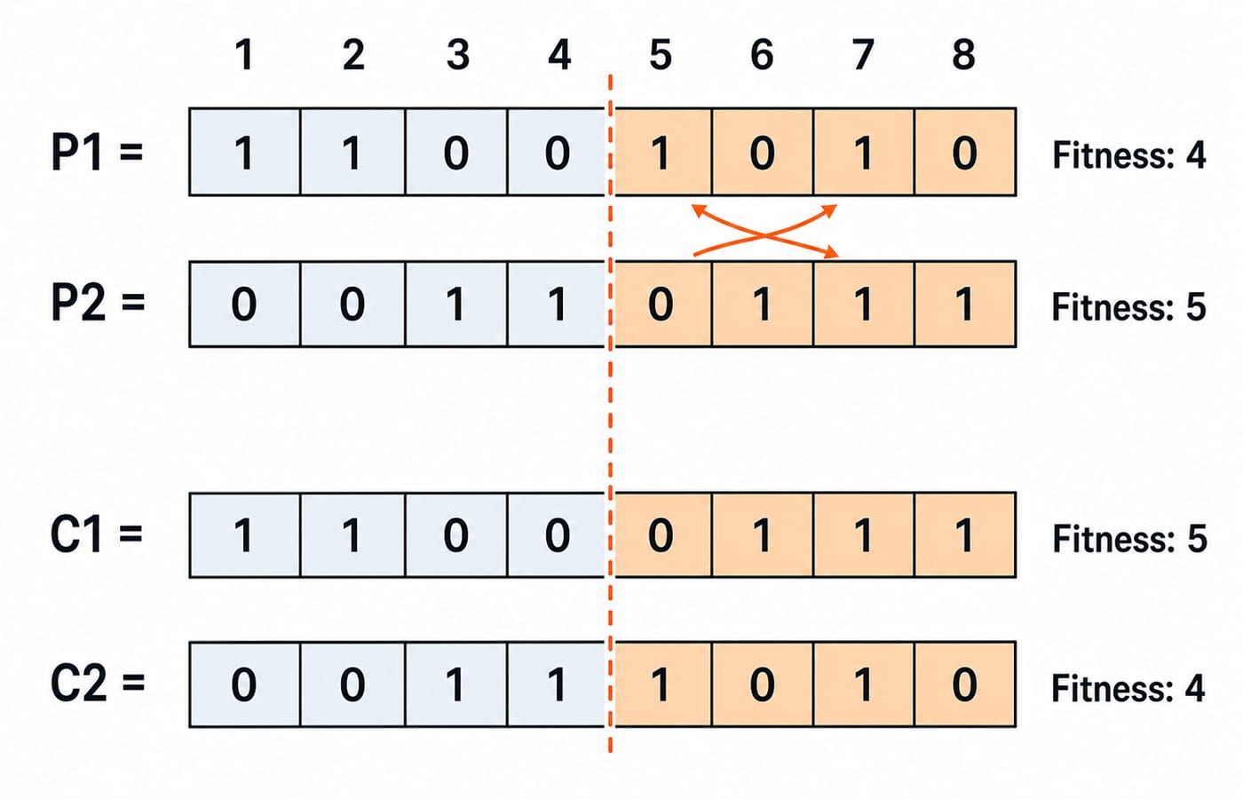 One-point crossover of two 8-bit parents cut after position 4, forming children C1 and C2 with OneMax fitness 4, 5, 5 and 4.