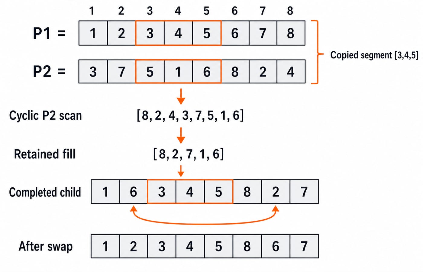 Order crossover copying positions 3 to 5 from parent P1 into a route child, then a swap mutation exchanging positions 2 and 7.