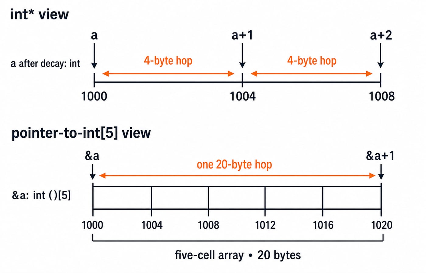 Two number lines from address 1000: a+1 advances 4 bytes to 1004, while &a+1 advances 20 bytes to 1020 past the whole int[5] array.