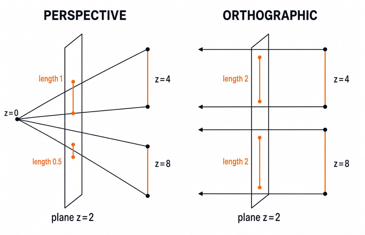 At plane z=2, perspective maps equal segments at z=4 and z=8 to lengths 1 and 0.5; orthographic maps both to 2.