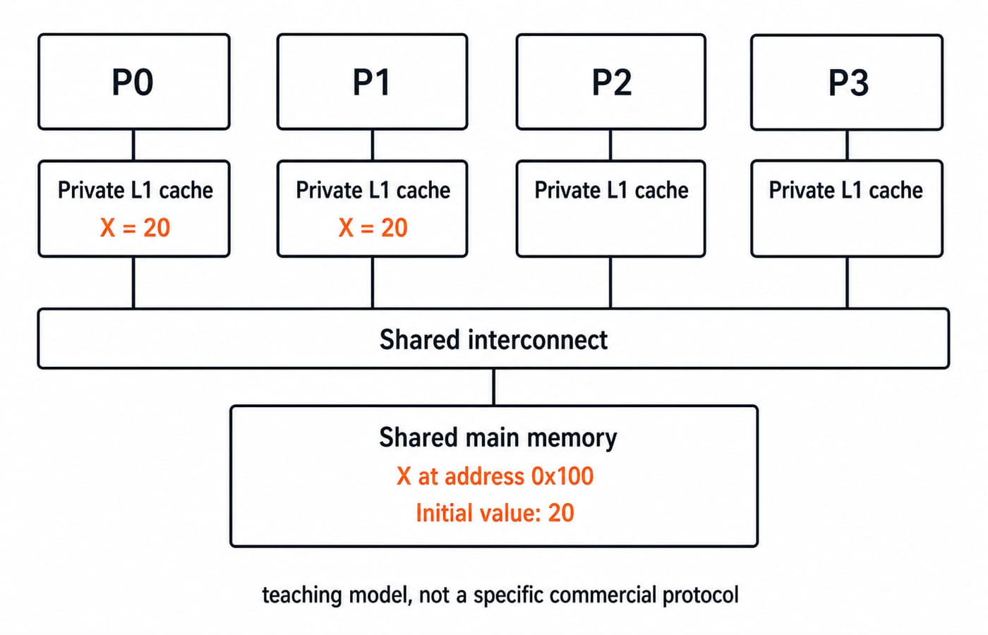 Four processors P0 to P3, each with a private L1 cache, connect through a shared interconnect to main memory where X at 0x100 holds 20.