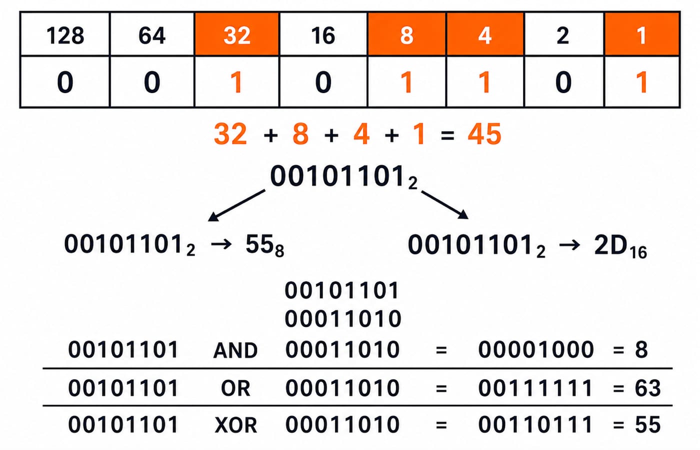 Place-value strip showing 00101101 as 32 plus 8 plus 4 plus 1 equals 45, plus its 55 octal and 2D hex forms and AND, OR, XOR rows.