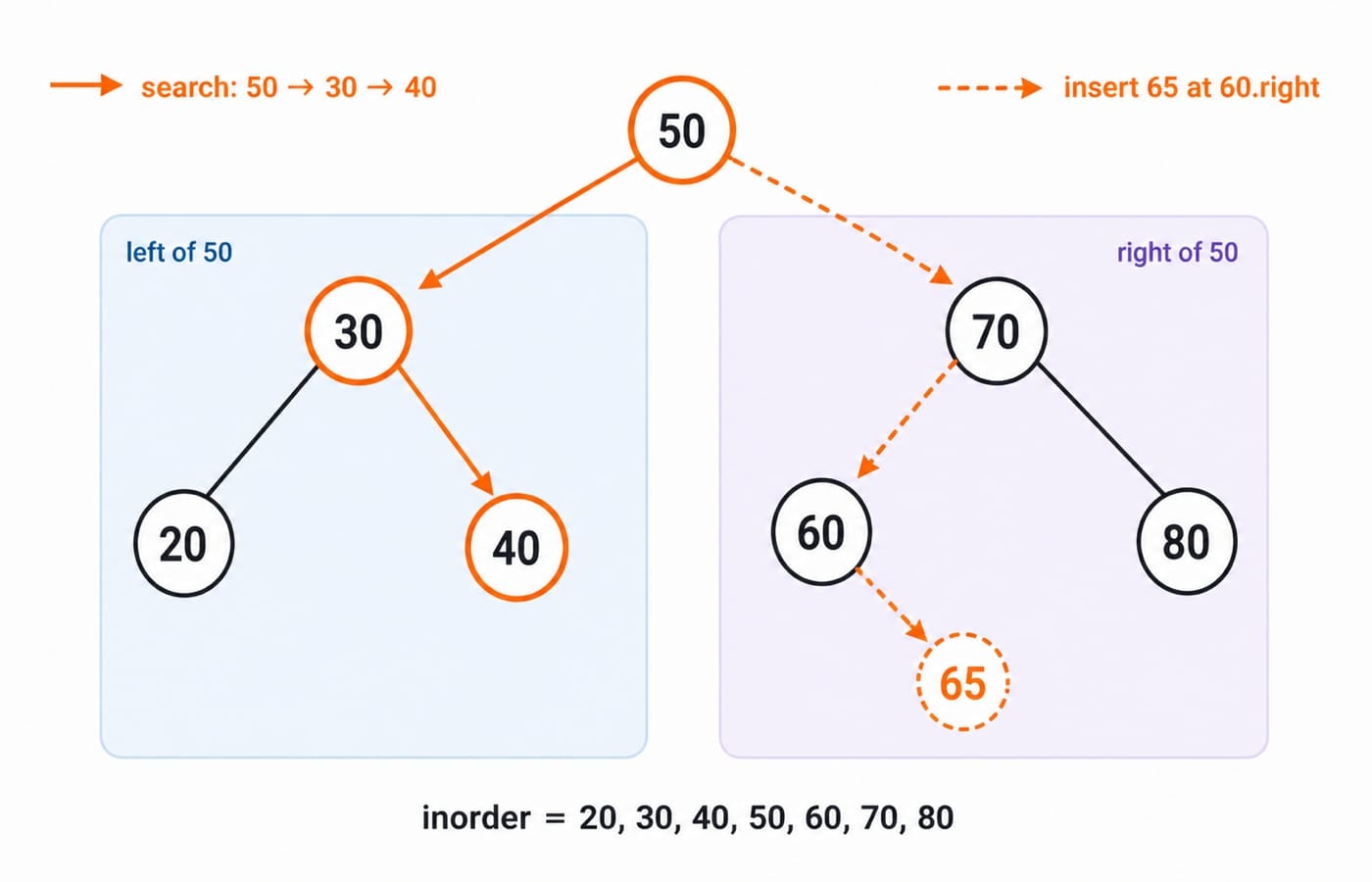 A binary search tree built from 50, 30, 70, 20, 40, 60, 80, with the search path to 40 and the insertion path for 65 marked.