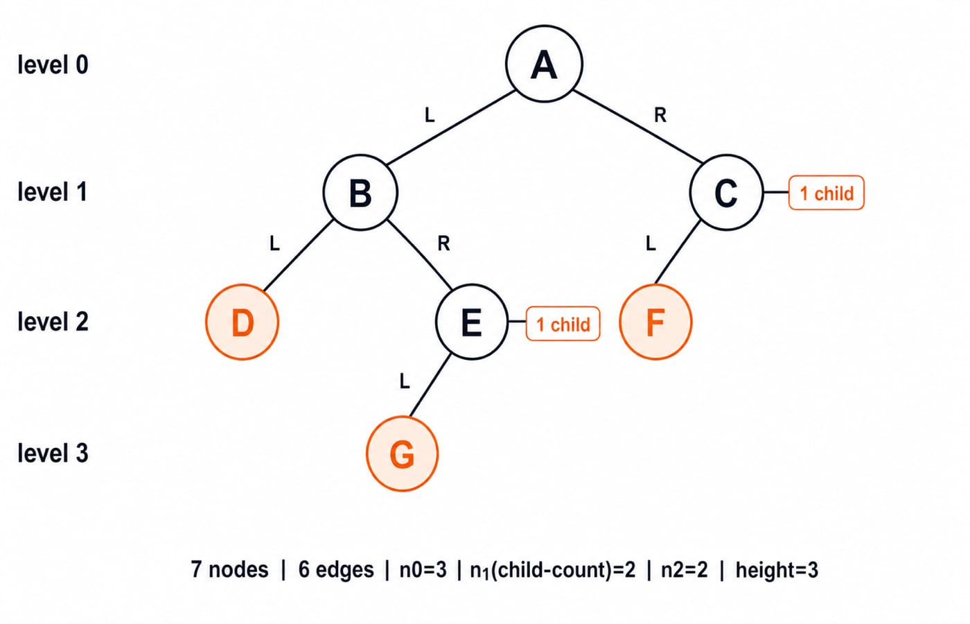 Node-link binary tree: root A over B and C, D and E under B, F left of C, G left of E; leaves D, F, G and height 3.