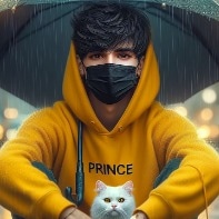 Priyanshu Vishwakarma