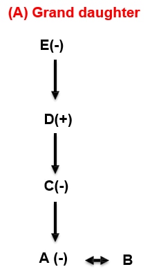 family tree diagram