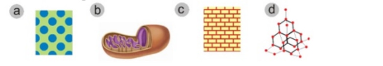 Four labelled illustrations: a, b, c and d