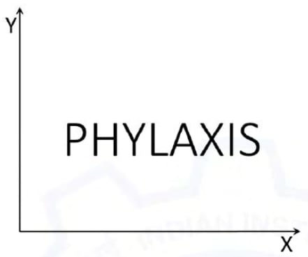 The word PHYLAXIS upright to the right of an upward Y-axis and above a rightward X-axis.