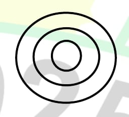 Three concentric nested circles.