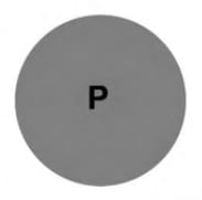 Grey filled circular shadow with P printed inside.