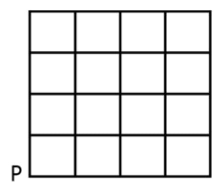 Four-by-four square grid with all sixteen cells and P immediately outside its bottom-left corner. Full closed outer boundary and internal grid lines retained.